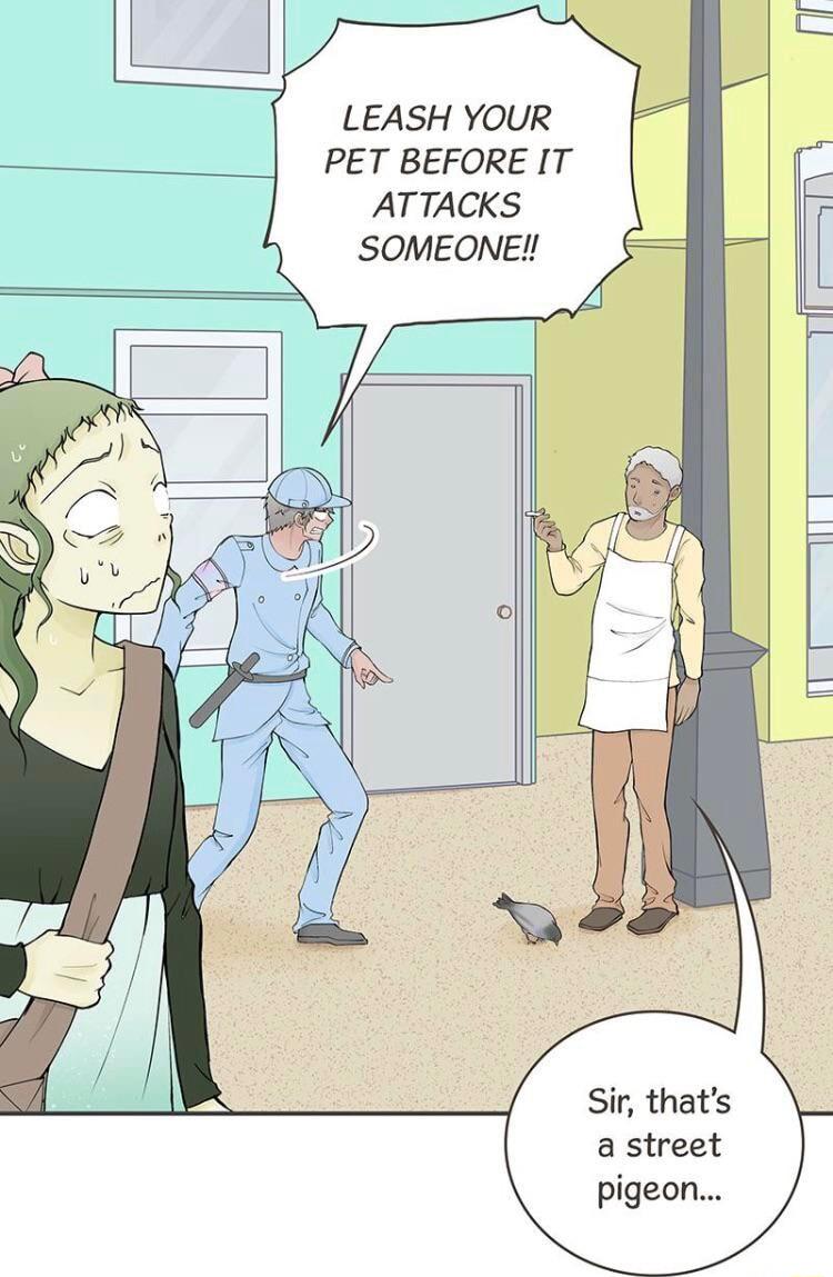 LEASH YOUR PET BEFORE IT ATTACKS SOMEONE Sir thats a street pigeon