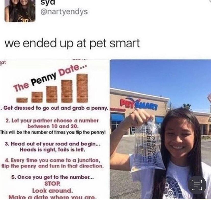 sya nartyendys we ended up at pet smart Gol dressed fo go out and grab a penny 2 Lol your pariner choose number botween 10 and 20 3Head out of your road and begin Hoads is right Tails is lefl 4 Every fime you come o a junction i the penny and furn in fhat direction 60nce you ge fo the number STOP Look around O i OB i G