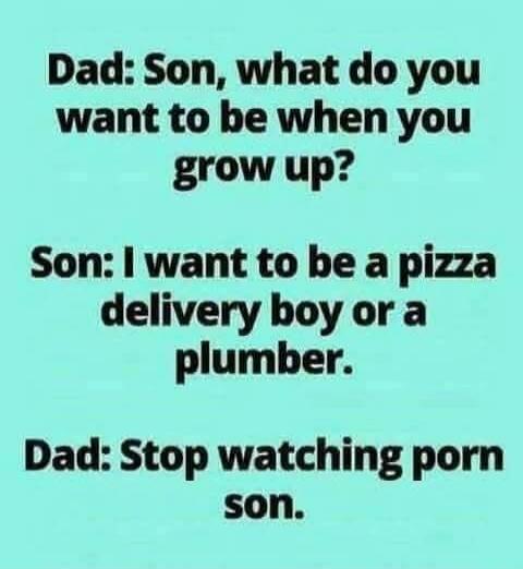 Dad: Son, what do you want to be when you grow up? Son: I want to be a pizza delivery boy or a plumber. Dad: Stop watching porn son.