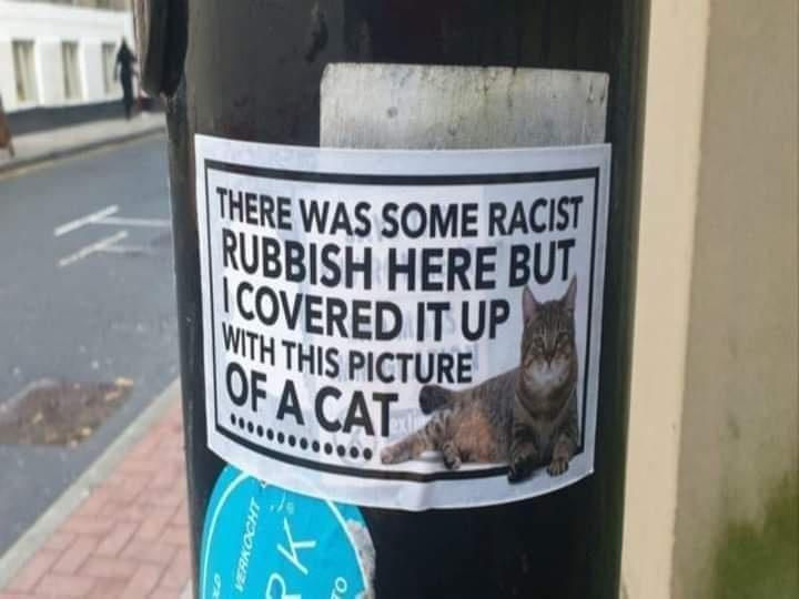 THERE WAS SOME RACIST UBBISH HERE BUT COVERED IT UP WFH THIS PICTURE Pt P