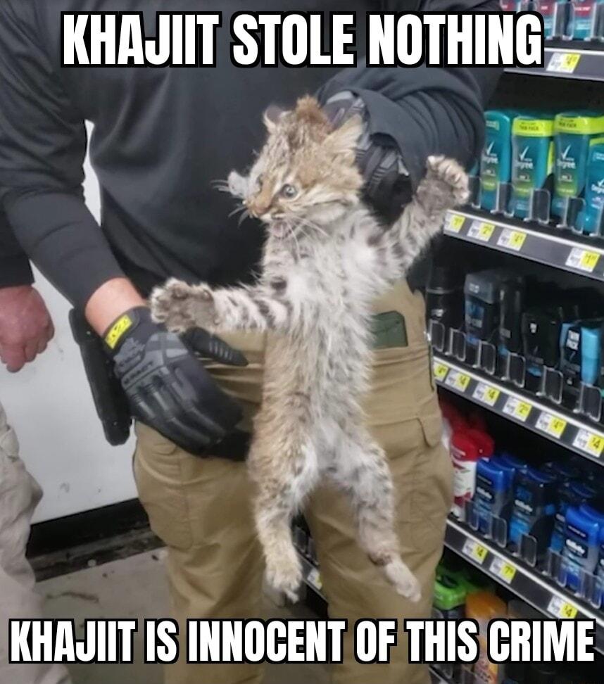 KHAJIIT STOLE uunmig w kHIlJIIT 1 IIIIIIIEHT OFTHISICRIME