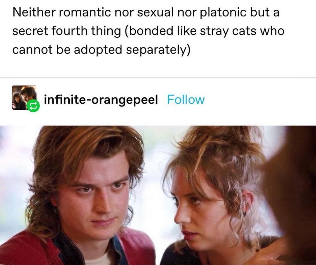 Neither romantic nor sexual nor platonic but a secret fourth thing bonded like stray cats who cannot be adopted separately ninnite orangepeel Follow