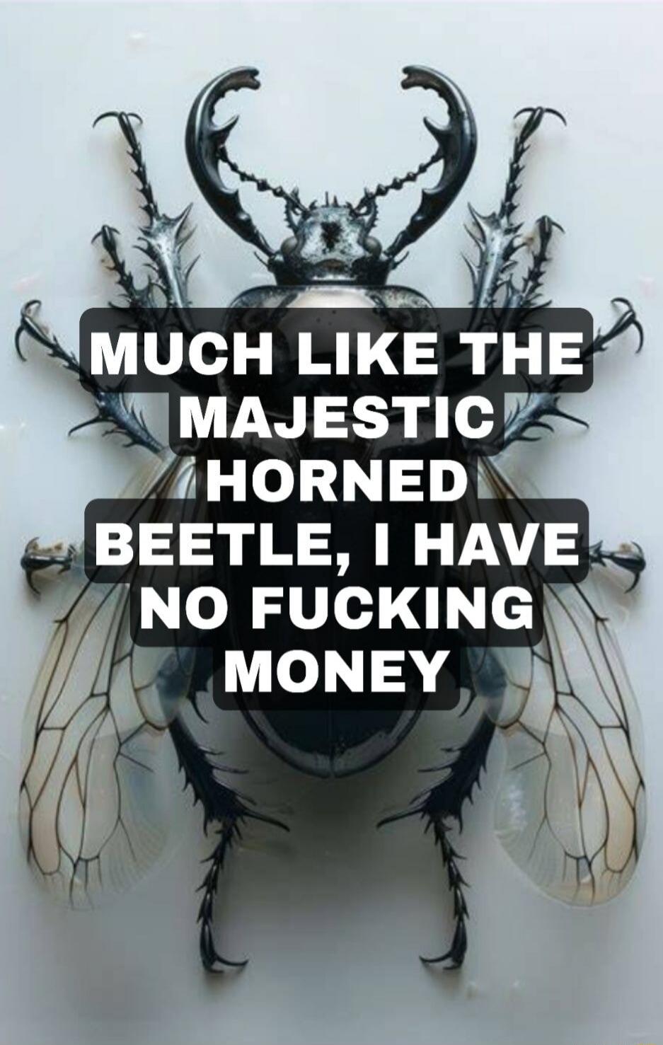 MUCH LIKE THE MAJESTIC HORNED BEETLE, I HAVE NO FUCKING MONEY