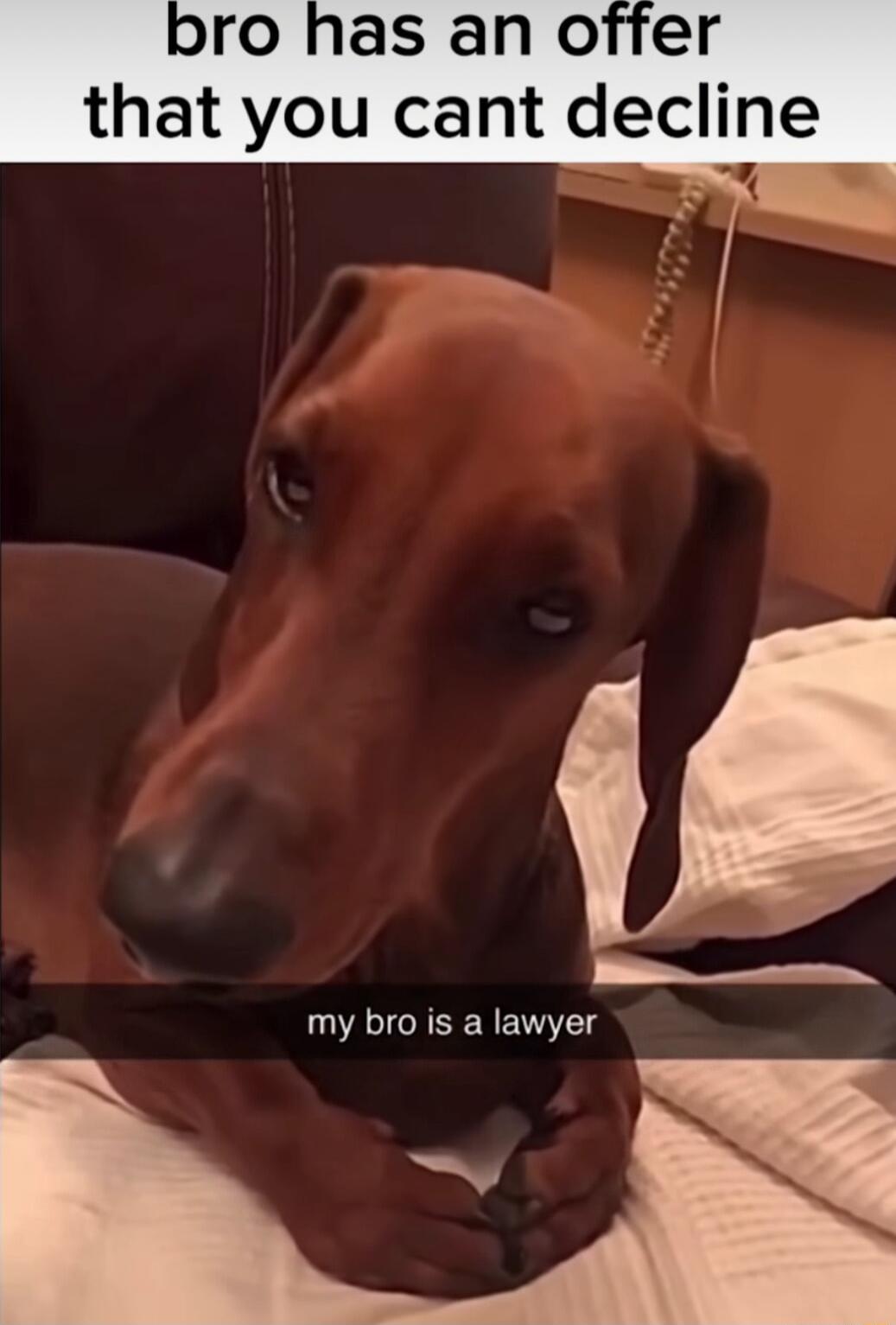 AN bro has an offer that you cant decline my bro is a lawyer