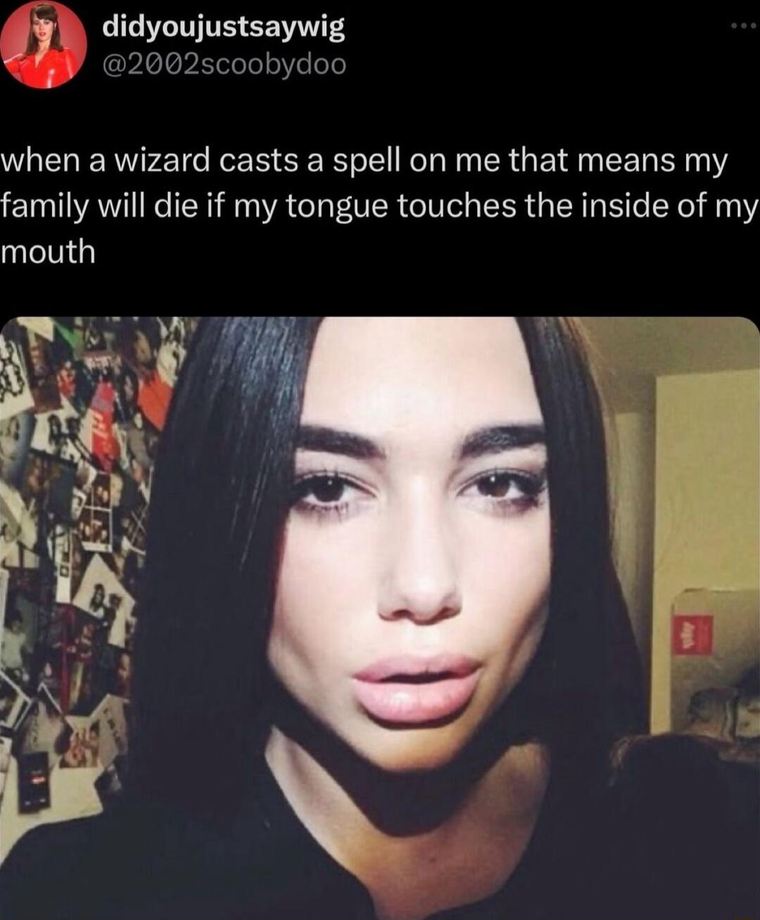 gl didyoujustsaywig when a wizard casts a spell on me that means my family will die if my tongue touches the inside of my mouth