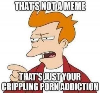 THAT'S NOT A MEME THAT'S JUST YOUR CRIPPLING PORN ADDICTION