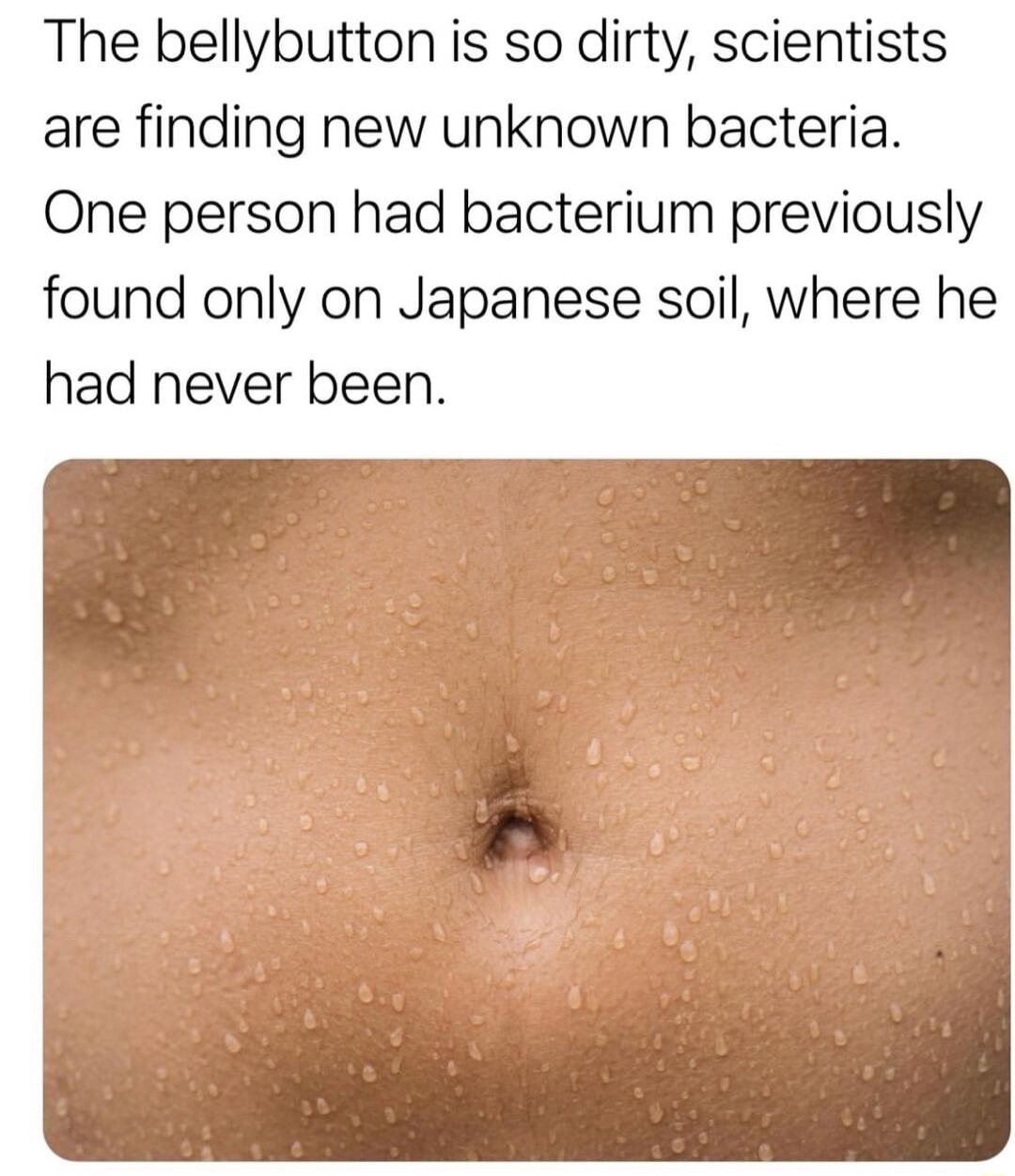 The bellybutton is so dirty scientists are finding new unknown bacteria One person had bacterium previously found only on Japanese soil where he had never been