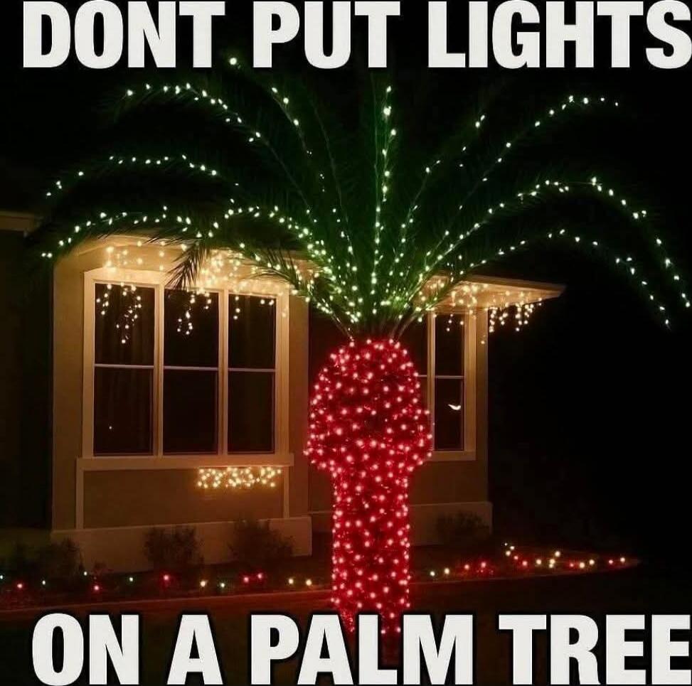 DONT PUT LIGHTS ON A PALM TREE