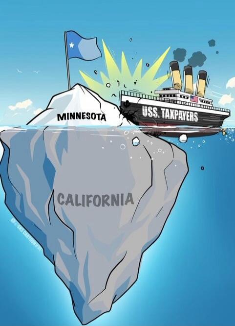 CALIFORNIA, MINNESOTA, USS. TAXPAYERS
