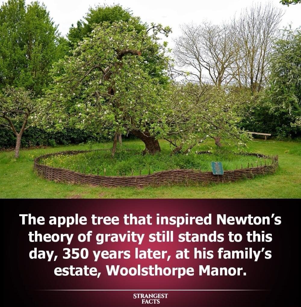 LGERGROT his familys theory of gr day 350 year