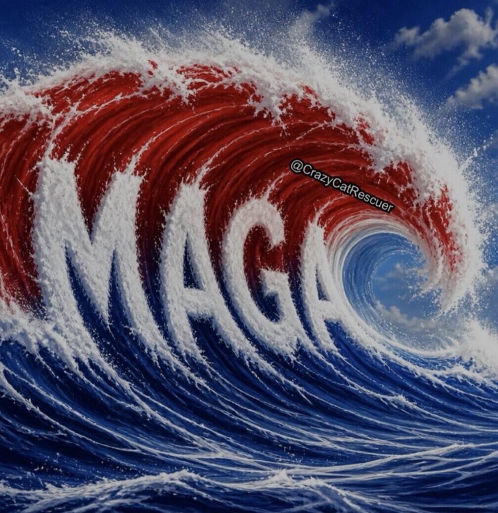 MAGA @CrazyCatRescuer
