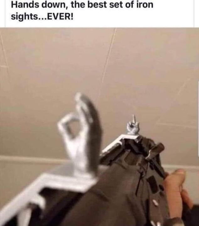 Hands down, the best set of iron sights...EVER!