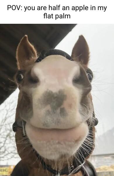 POV you are half an apple in my flat palm