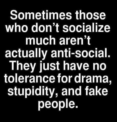 Sometimes those who don't socialize much aren't actually anti-social. They just have no tolerance for drama, stupidity, and fake people.