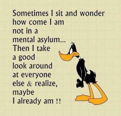 Sometimes I sit and wonder how come I am not in a mental asylum... Then I take a good look around at everyone else & realize, maybe I already am !!