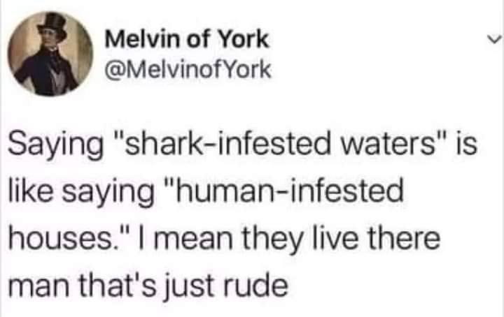 Melvin of York MelvinofYork Saying shark infested waters is like saying human infested houses mean they live there man thats just rude