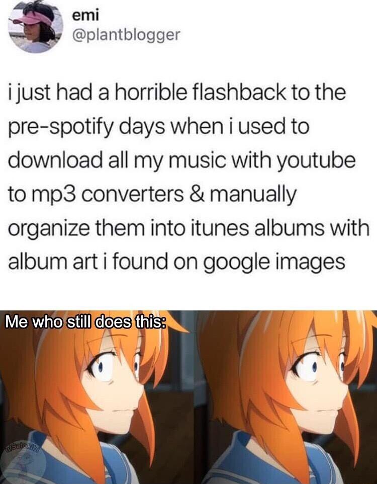 emi plantblogger i just had a horrible flashback to the pre spotify days when i used to download all my music with youtube to mp3 converters manually organize them into itunes albums with album art i found on google images a