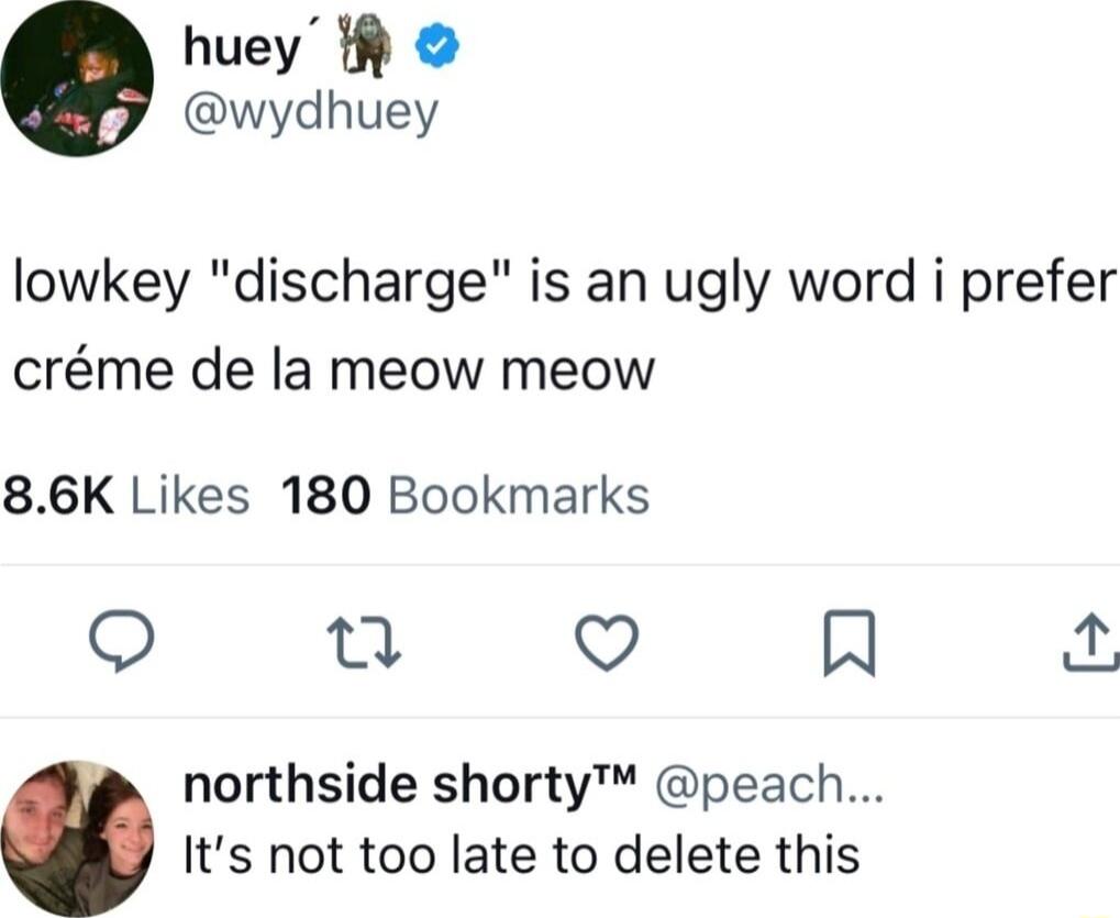 huey t wydhuey lowkey discharge is an ugly word i prefer crme de la meow meow 86K Likes 180 Bookmarks O 0 V H northside shorty peach Its not too late to delete this