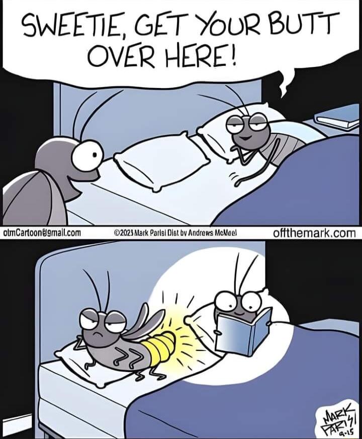 SWEETIE GET YouR BUTT OVER HERE olnCartoongsmalcom ozt ot Ao ekl