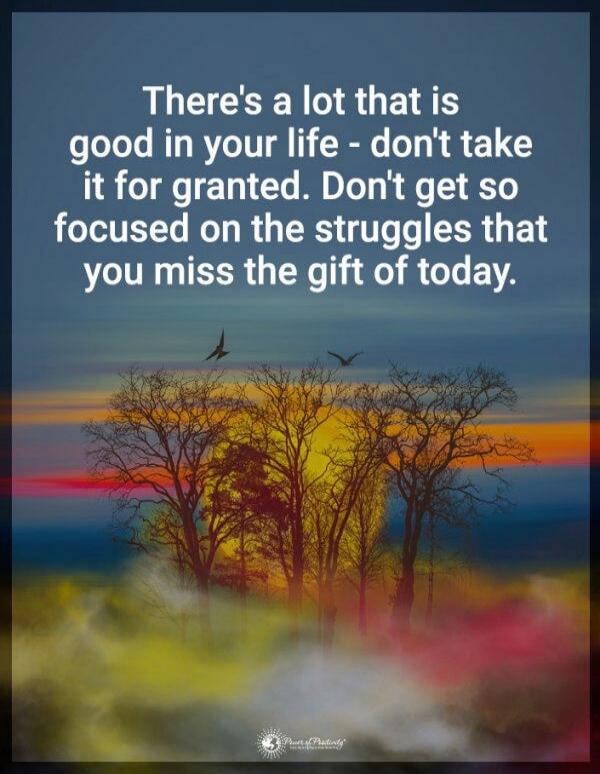 There's a lot that is good in your life - don't take it for granted. Don't get so focused on the struggles that you miss the gift of today.