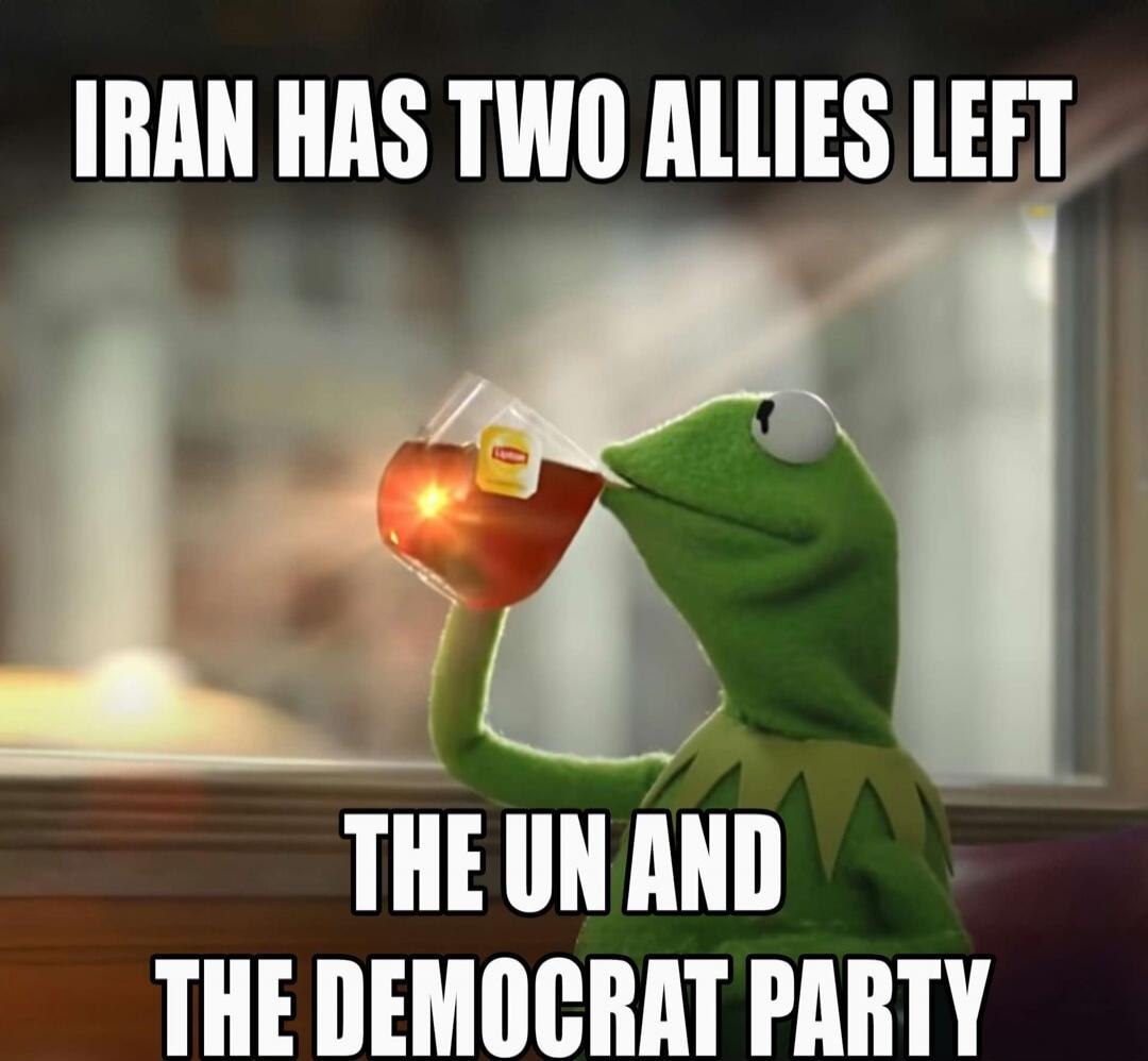 IRAN HAS TWO ALLIES LEFT THE UN AND THE DEMOCRAT PARTY