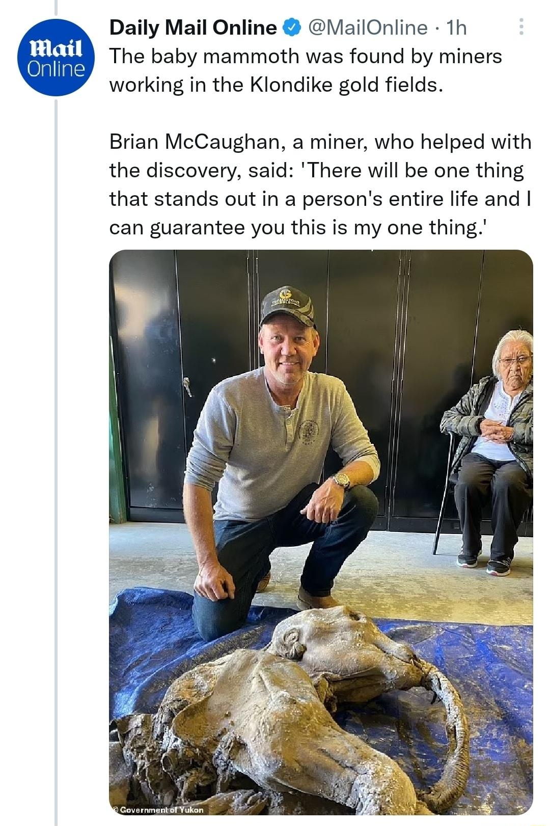 Daily Mail Online ailOnline 1h The baby mammoth was found by miners working in the Klondike gold fields Brian McCaughan a miner who helped with the discovery said There will be one thing that stands out in a persons entire life and can guarantee you this is my one thing