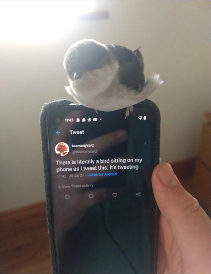 There s teraly abid siting on my hane o et s ety