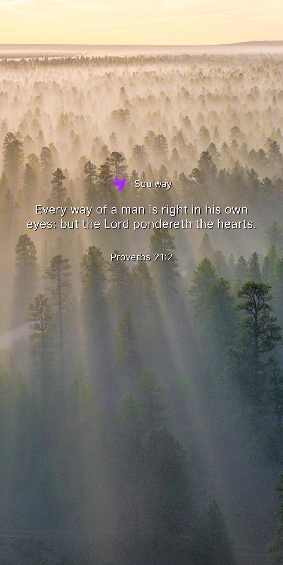 Soulway Every way of a man is right in his own eyes: but the Lord pondereth the hearts. Proverbs 21:2