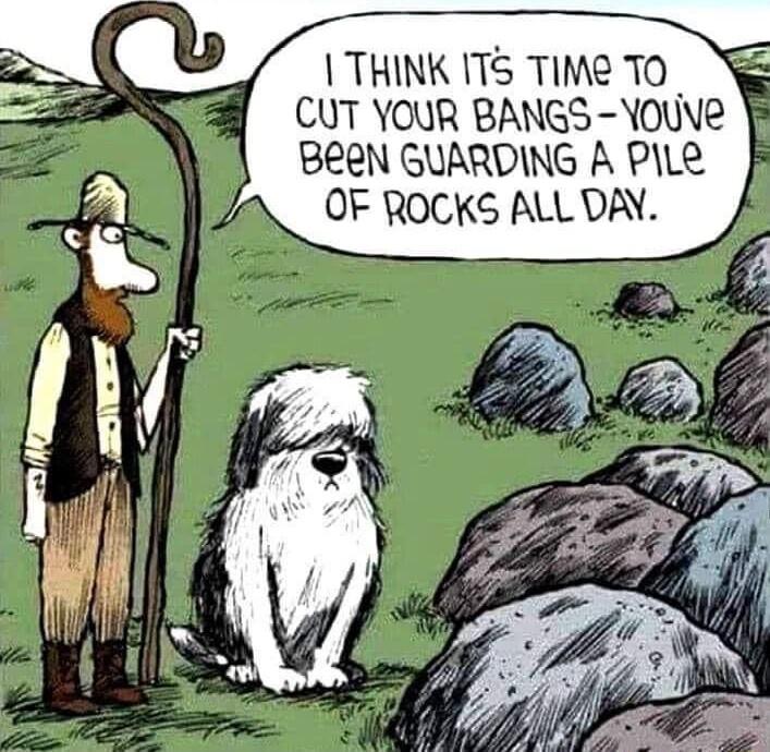 A THINK IT5 TIM TO CUT YOUR BANGS YOuve BEEN GUARDING A PILe OF ROCKS ALLDAY