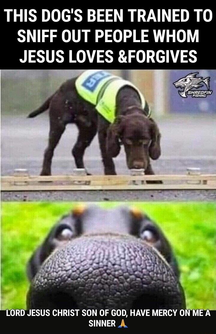 THIS DOGS BEEN TRAINED TO SNIFF OUT PEOPLE WHOM JESUS LOVES FORGIVES ORD JESUS CHRIST SON OF GOD HAVE MERCY Oi SINNER A
