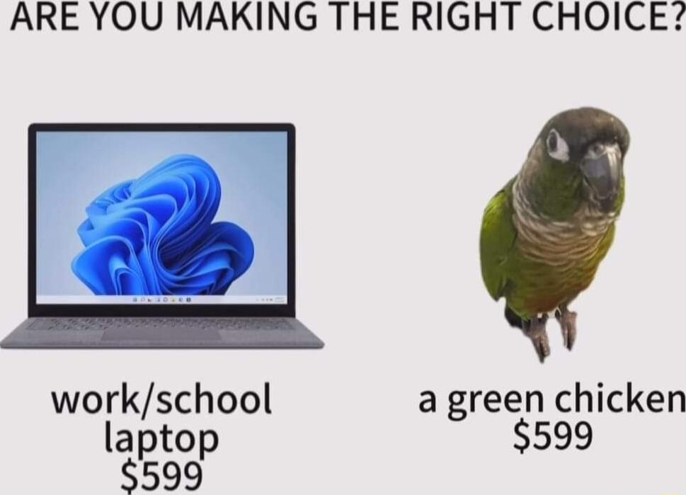 ARE YOU MAKING THE RIGHT CHOICE workschool a green chicken laptop 599 599