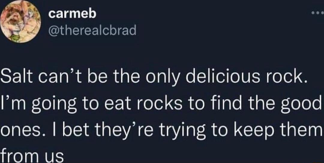 carmeb CQGEIEEIET Salt cant be the only delicious rock Im going to eat rocks to find the good ones bet theyre trying to keep them from us