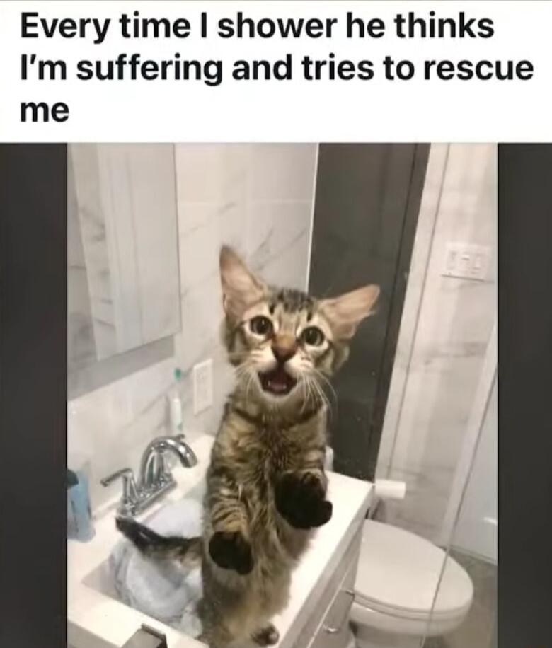 Every time shower he thinks Im suffering and tries to rescue