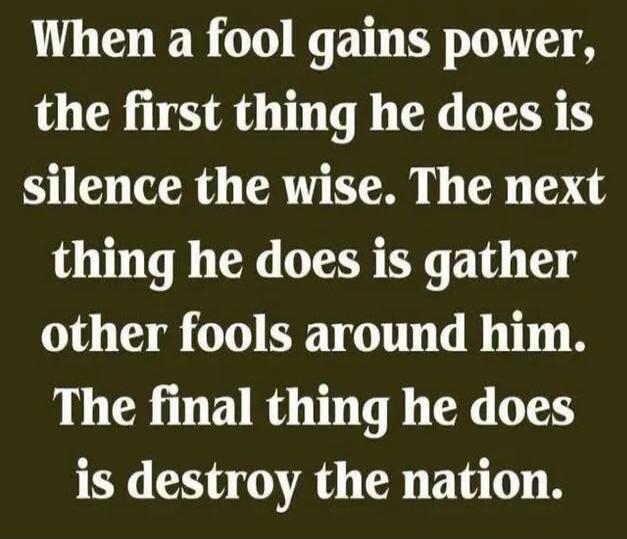 When a fool gains power, the first thing he does is silence the wise. The next thing he does is gather other fools around him. The final thing he does is destroy the nation.