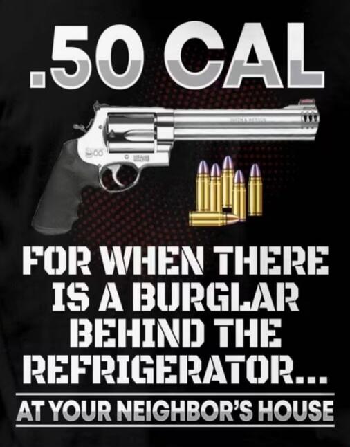 .50 CAL FOR WHEN THERE IS A BURGLAR BEHIND THE REFRIGERATOR... AT YOUR NEIGHBOR'S HOUSE