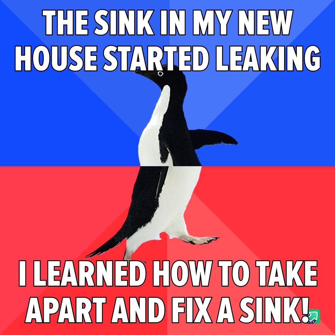 THE SINK INMY NEW HOUSE STARTEDLEAKING ILEARNED HOW TOTAKE APART AND FIXASINK