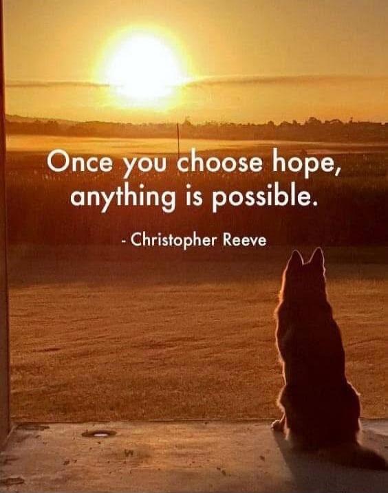 Once you choose hope, anything is possible. - Christopher Reeve