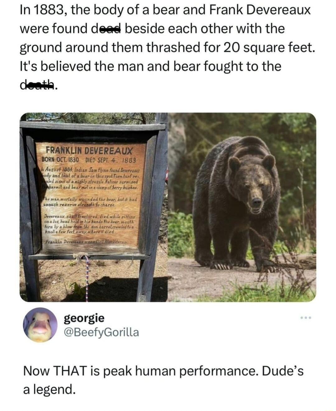 In 1883 the body of a bear and Frank Devereaux were found deed beside each other with the ground around them thrashed for 20 square feet Its believed the man and bear fought to the p georgie Y BecfyGorila Now THAT is peak human performance Dudes alegend
