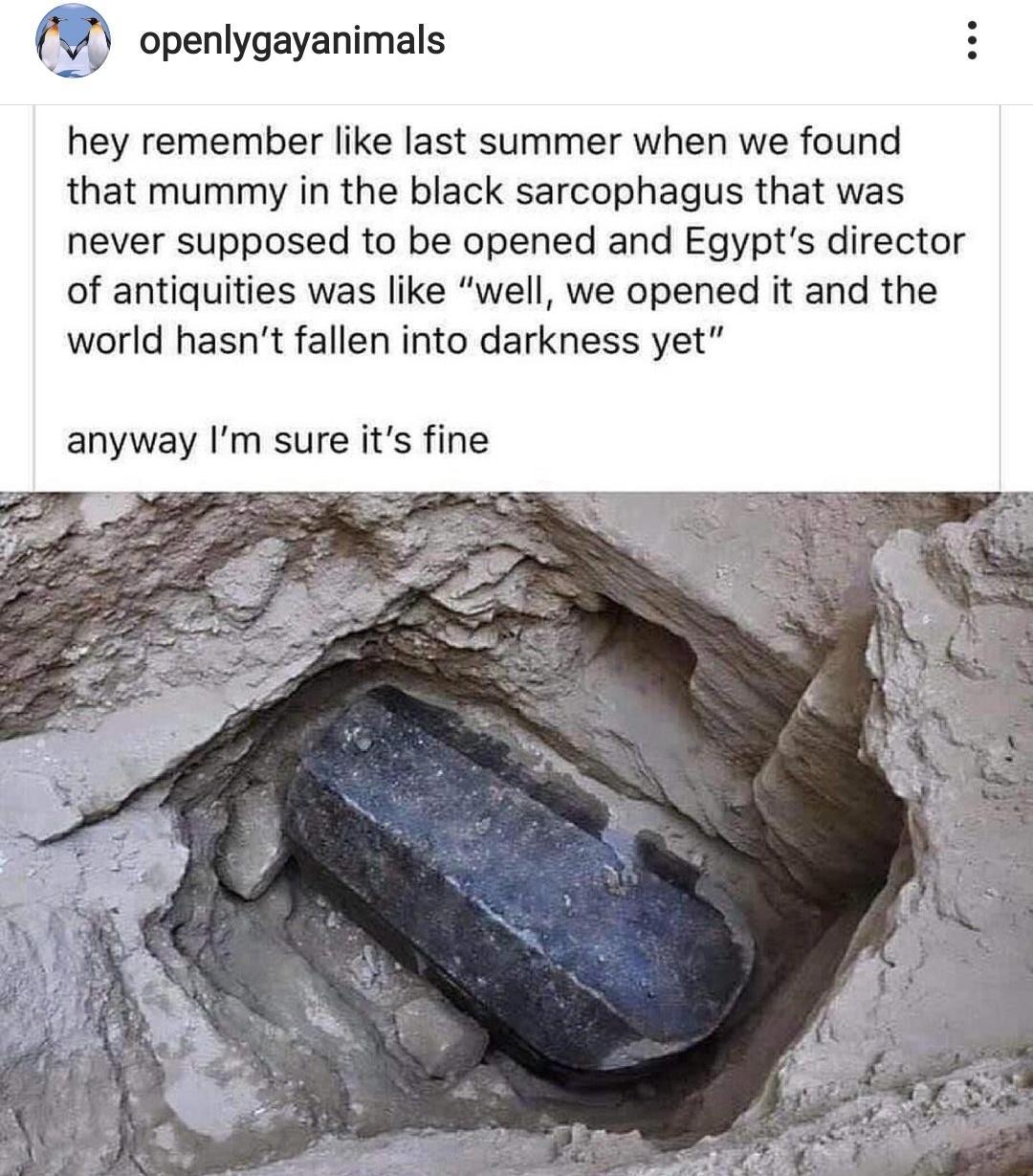 m openlygayanimals hey remember like last summer when we found that mummy in the black sarcophagus that was never supposed to be opened and Egypts director of antiquities was like well we opened it and the world hasnt fallen into darkness yet anyway Im sure its fine