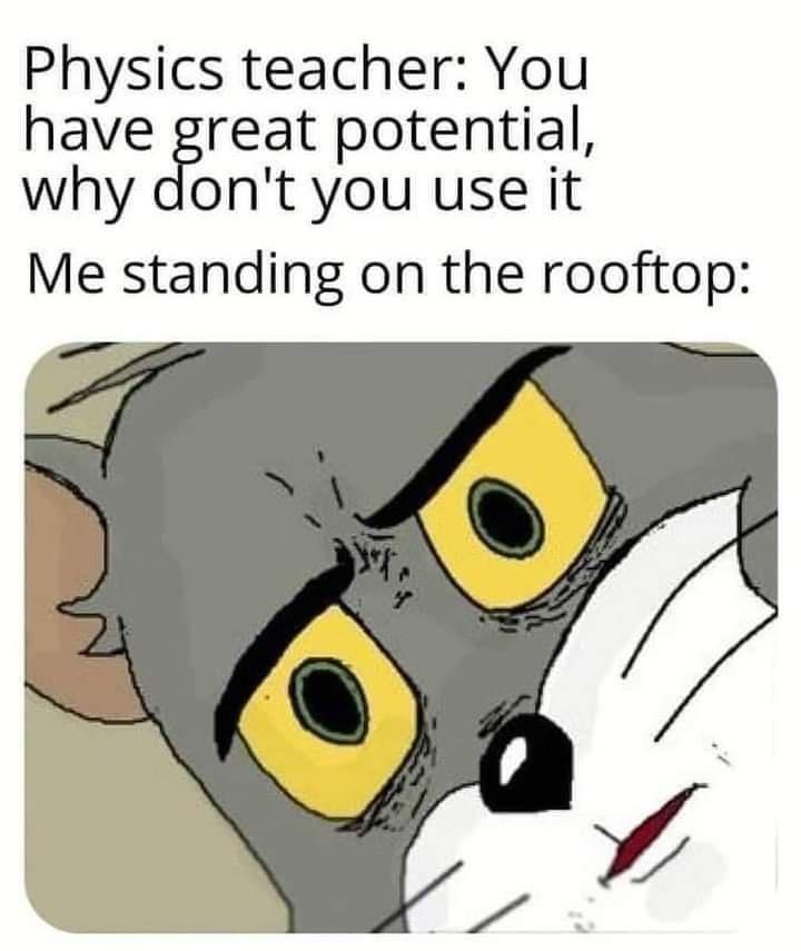 Physics teacher You have great potential why dont you use it Me standing on the rooftop