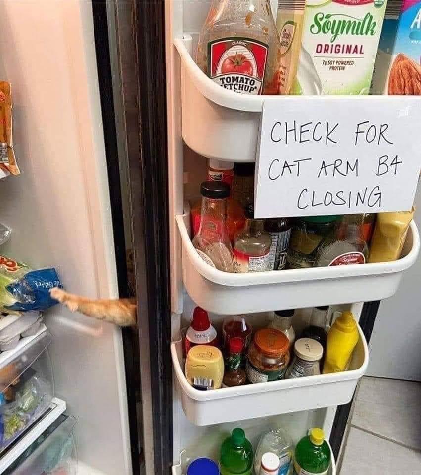 cHECK For CAT ARM Bf