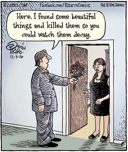 Facebook comBizarroComicd Distl Kin aves Here found come beautiful thinge and killed them go you could watch them decay