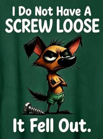 I Do Not Have A SCREW LOOSE It Fell Out.