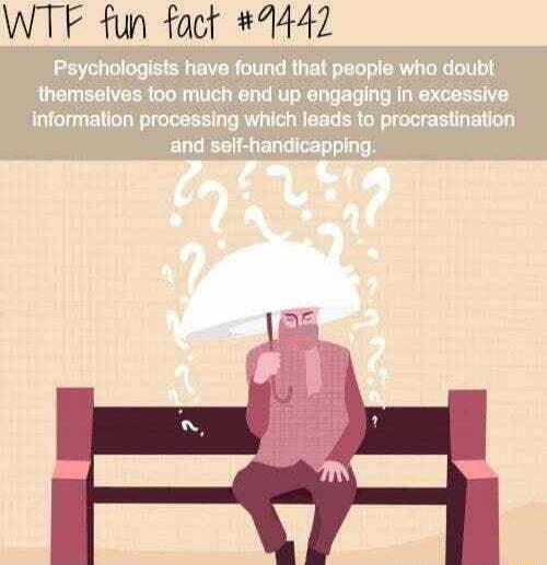 WTF fun fact 4442