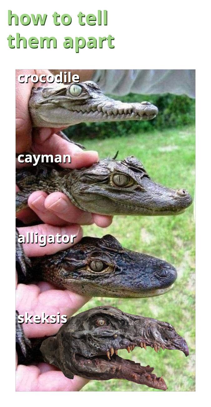 how to tell them apart