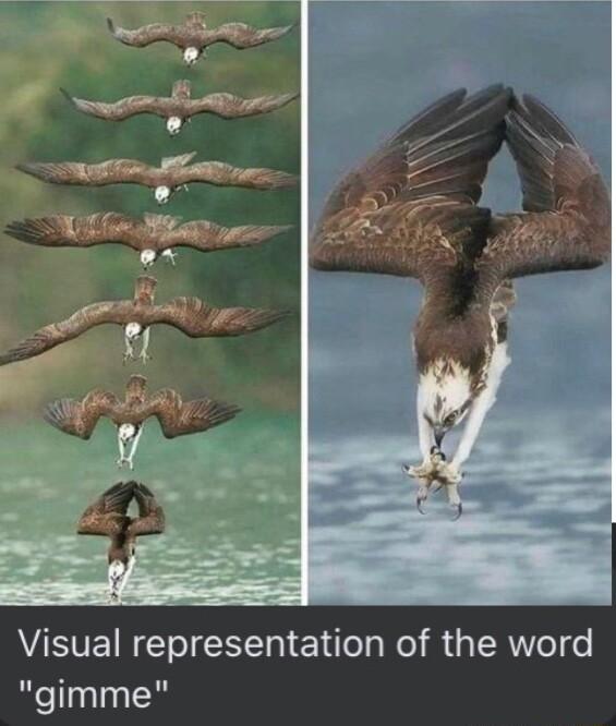 Visual representation of the word gimme