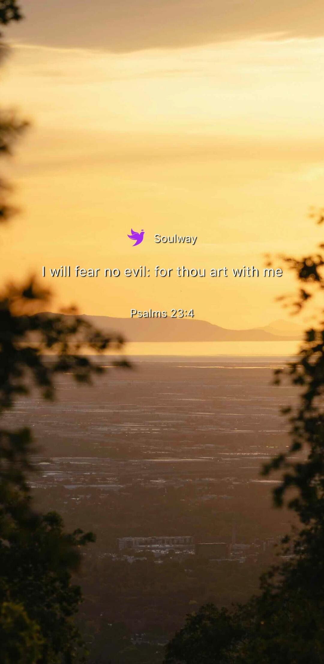 Soulway I will fear no evil: for thou art with me Psalms 23:4