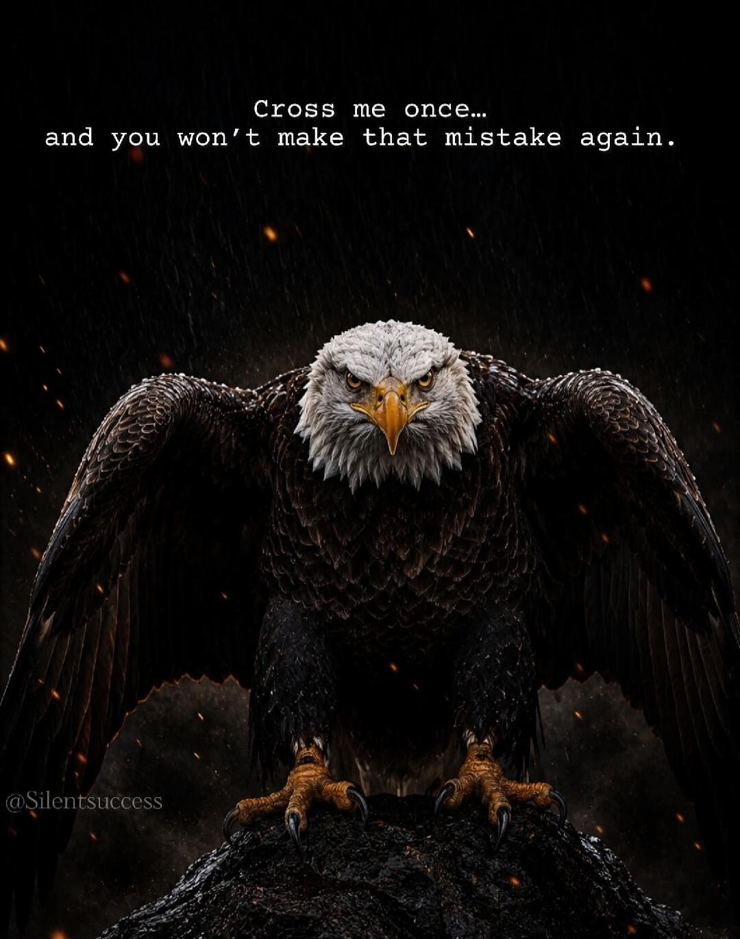 Cross me once... and you won't make that mistake again. @Silentsuccess
