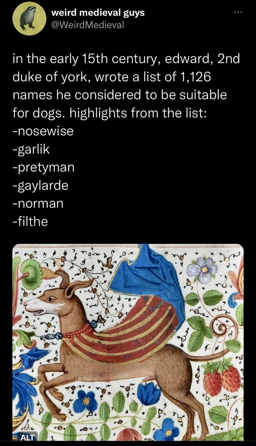 WGETICRNEIEETENTE QETG W in the early 15th century edward 2nd o V CNo AYo14 MRWITe R WITS io il W P2AG T CISN aTeRoleato STTe M to N o IR VIR 1 o 5 for dogs highlights from the list nosewise garlik pretyman gaylarde norman filthe
