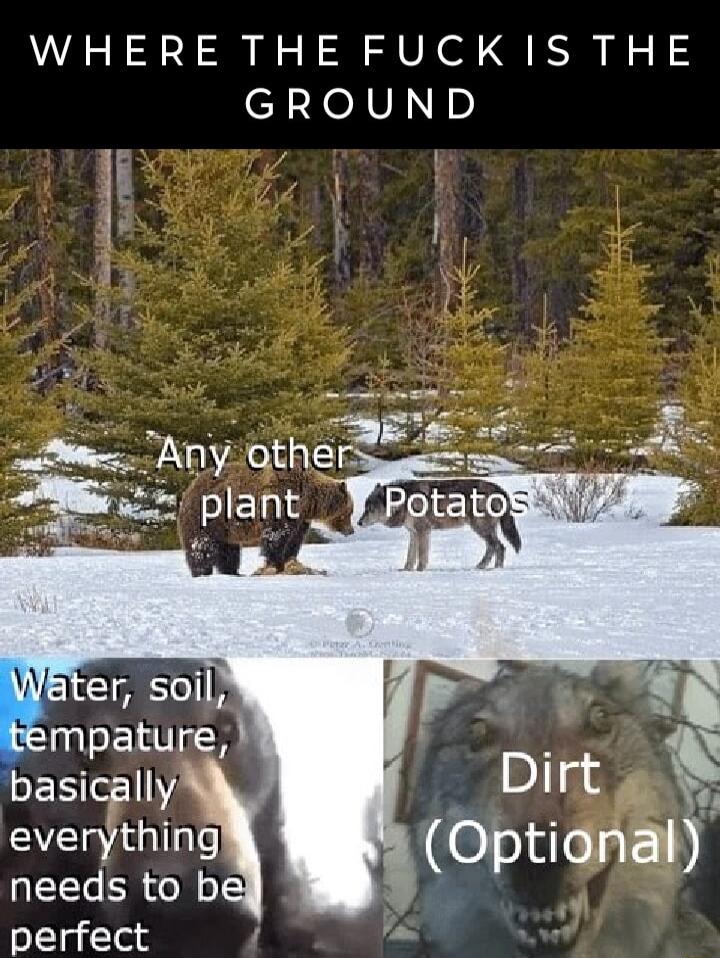 WHERE THE FUCK IS THE GROUND perfect